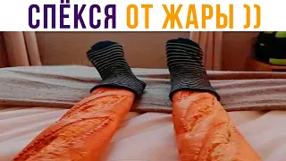 СПЁКСЯ ОТ ЖАРЫ))) Приколы | Мемозг 743