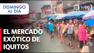 Get to know the Belen market and the Paquito passage in Iquitos | Domingo al Dia