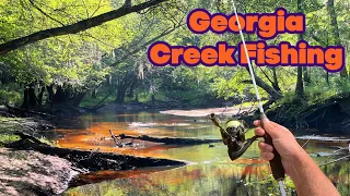 Wading a Shallow Blackwater River... SURPRISING CATCH