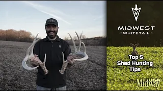 Top 5 Shed Hunting Tips | Midwest Whitetail