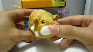 Zhu Zhu Pets Unboxing and Quick Review.