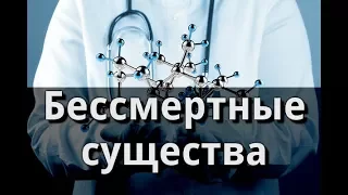 Бессмертные существа. Пётр Гаряев