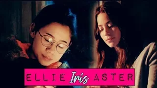 Ellie Chu & Aster Flores - Iris (Tradução)