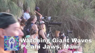 Watching Giant Waves at Pe'ahi, Jaws Maui