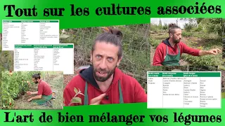 Tout sur les cultures associées. L'art de bien mélanger vos légumes