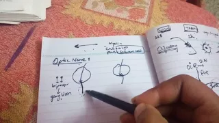OPTIC NERVE complete description in easiest way