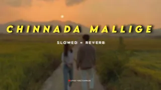 Chinnadaa mallige hoove | (slowed + reverb) | Kannada lofi | Lovely vibez Kannada