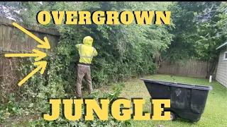 From JUNGLE to Oasis| TRANSFORMING this grandma's OVERGROWN fence line #grass #lawn #asmr #diy