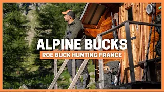 ALPINE BUCKS FILM 💥 HUNTING HIGH COUNTRY ROE DEER in the ALPS 💥 ADVENTURE MOUNTAIN HUNTING IN FRANCE