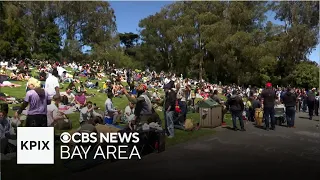 "Unofficial" 4/20 celebration draws mellow crowd to S.F. Golden Gate Park