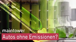 Grüner Wasserstoff durch Blaualgen | maintower