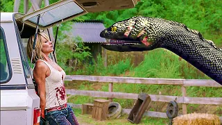 Anaconda gigante vs. Jeep | Anaconda 3: la amenaza | Clip en Español