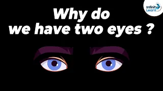 Why do we have two eyes? | One Minute Bites | Don't Memorise