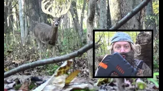 Whitetail Deer and a Nerf Gun 2017