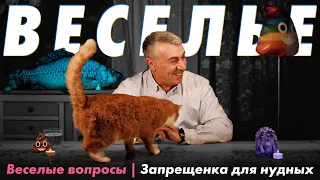 Веселые вопросы 8 | Запрещенка для нудных | Доктор Комаровский