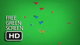 Free Green Screen - Flying Butterflies Green Screen Version
