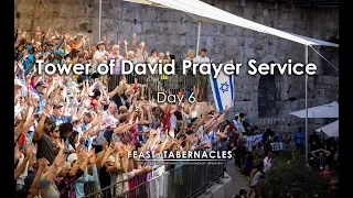 Day 6 Tower of David