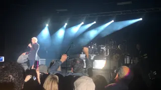 Dennis DeYoung - Suite Madame Blue - Pompano Beach Amphitheatre - November 16, 2019