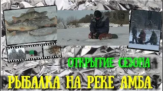 Зимняя рыбалка. Первый лёд! Река Амба. Рыбалка на окуня. Winter fishing in Siberia.