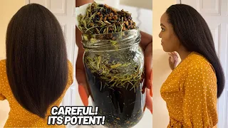 The Most Powerful Hair Growth Oil | Caution‼️It’s Super Potent