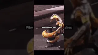 Why dose Xcom have snakes
