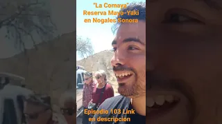 Visitamos "La Comaya" reserva Mayo-Yaki en Nogales Sonora Link en la descripción del vídeo...