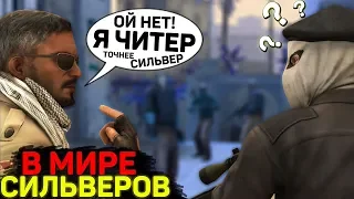 В МИРЕ СИЛЬВЕРОВ #29 | CS:GO