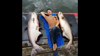 Big Fish ! Mekong Catfish and Siamese Carp Fishing Thailand 2022- BKKGUY