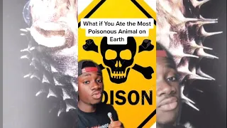 What if You Ate The Most Poisonous Animal in the World?