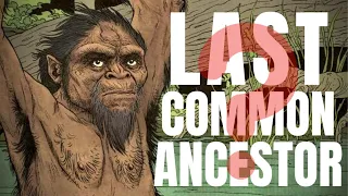 Walking With Our Last Common Ancestor ~ MATTHEW O'NEILL