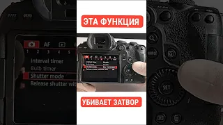 эта функция убивает затвор для  CANON R3,R5,R6,R6ii