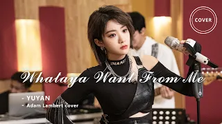 Whataya Want From Me - Yu Yan 喻言 （Adam Lambert cover）