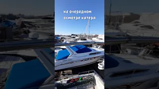 Всё о катерах и яхтах во Владивостоке. Обзоры, цены, помощь в покупке.