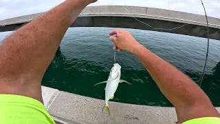 Incredible Shore Fishing Florida Keys