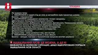 На Черкащині визначили, до яких лісів можна ходити, а до яких – ні