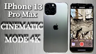 IPHONE 13 PRO MAX CINEMATIC 4k 60fps VIDEO || CAMERA TEST