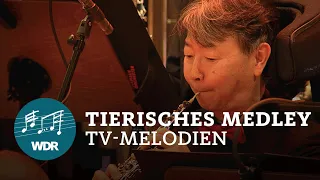 "Einfach tierisch!" medley (Lassie, Flipper, Black Beauty, Daktari...) ) | WDR Funkhausorchester