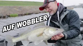 Auf ZANDER mit WOBBLER - Riesenfisch beisst auf meinen Lieblingshardbait