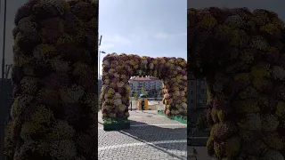 Râmnicu Vâlcea arcada superba de flori