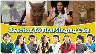 Nepali Youngsters React To Viral Singing Cats (The Kiffness)