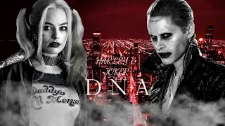 Harley Quinn & The Joker | DNA