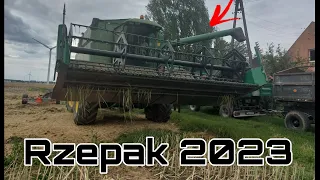 ✩Koszenie Rzepaku z Jeleniami i Lambo ! ✩ ✔ Żniwa Rzepaku 2023 w  GR.Cholewińscy ✔