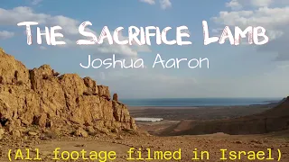 "The Sacrifice Lamb" by Joshua Aaron (with lyrics)