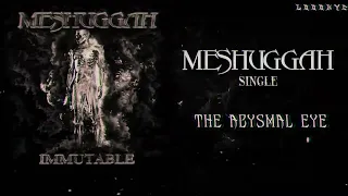 MESHUGGAH - The Abysmal Eye (LYRICS VIDEO - VISUALIZER)