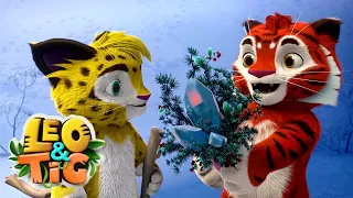 Leo and Tig: The Funniest Christmas Winners! 🎄🥇 Funny Animated Cartoon for Kids