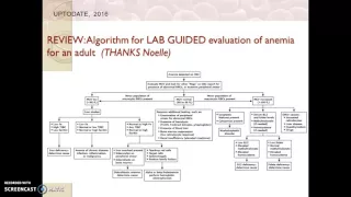 MOD I Lesson Overview and Anemia Evaluation