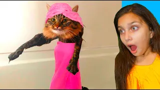 СМЕШНЫЕ 😻КОТЫ НА СВИДАНИИ в ЛАЙК и ТИКТОК! 🐶Собаки. НЕ ЗАСМЕЙСЯ ЧЕЛЛЕНДЖ Funny Cats Dogs Валеришка