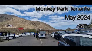 Visit to Monkey Park Tenerife - May 2024