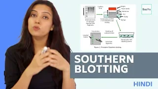 Southern Blotting | Basic Procedure | In Hindi