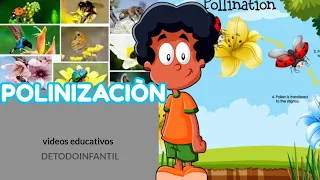 Que es la polinización + animales polinizadores+ importancia  ( video educativo para niños )